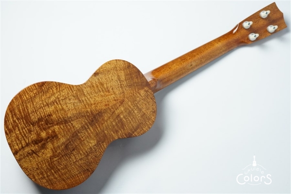 ECO-C+ - Koa